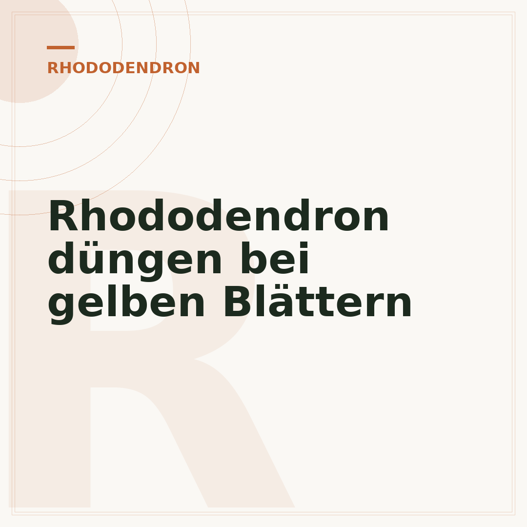Rhododendron düngen bei gelben Blättern