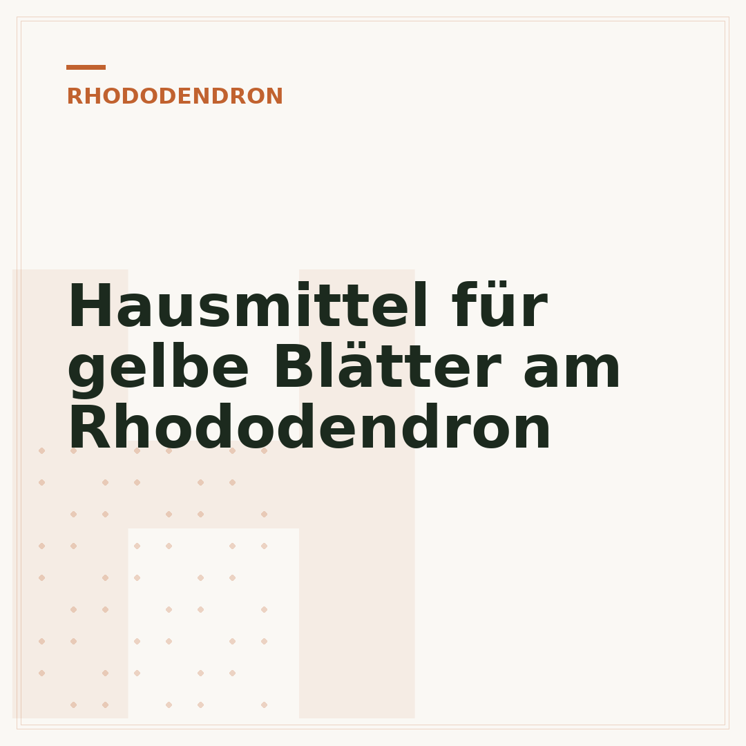 Hausmittel für gelbe Blätter am Rhododendron
