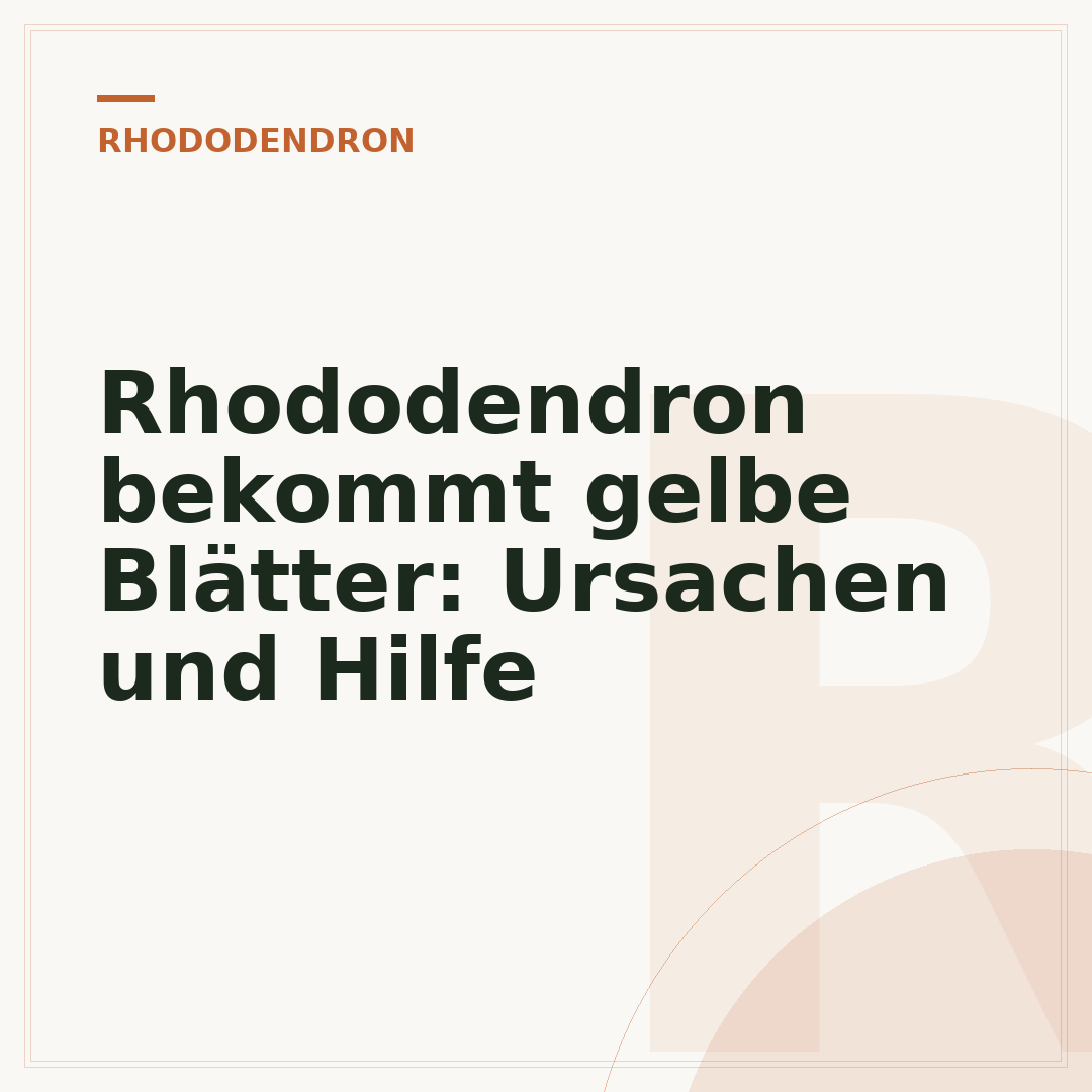 Rhododendron bekommt gelbe Blätter: Ursachen und Hilfe