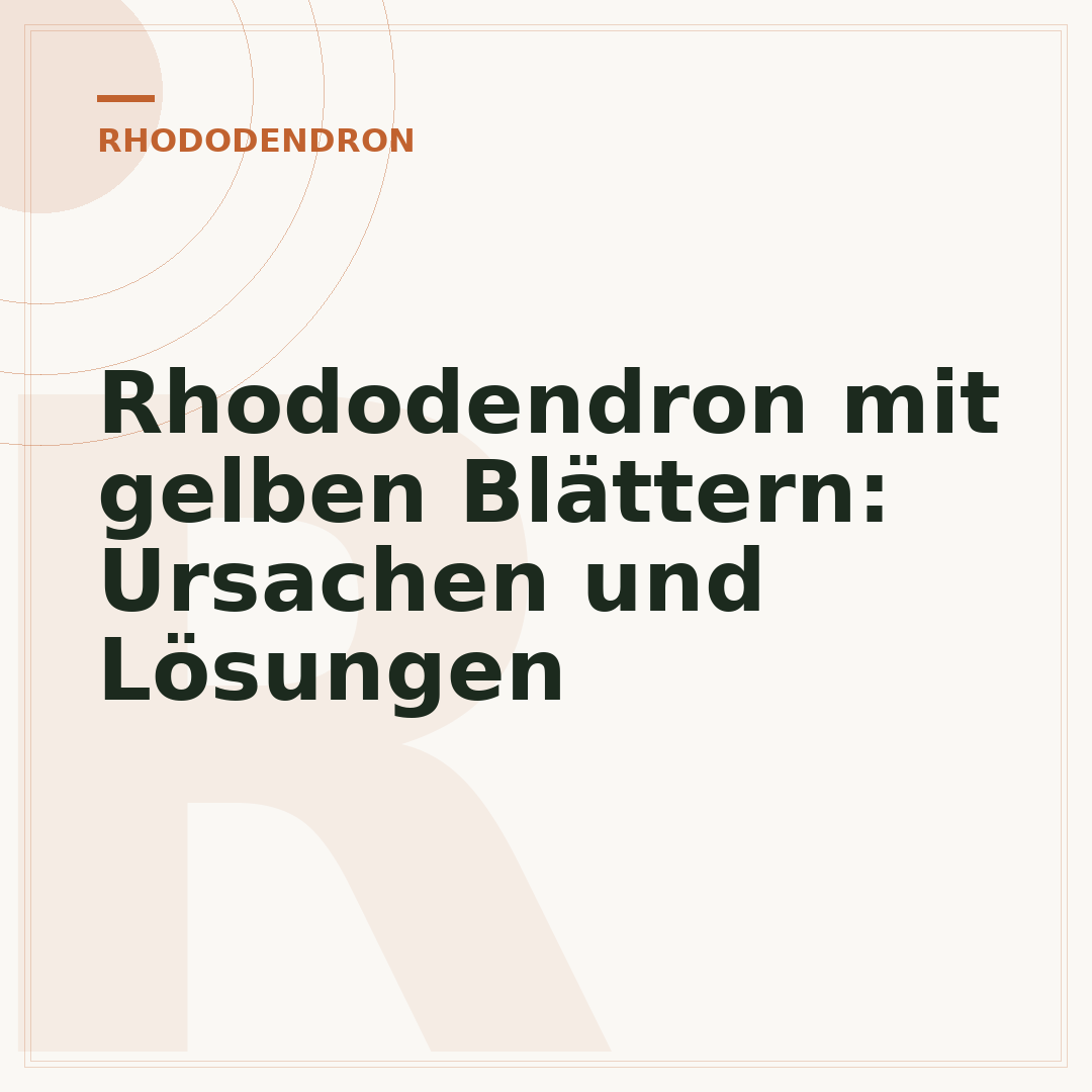 Rhododendron mit gelben Blättern: Ursachen und Lösungen