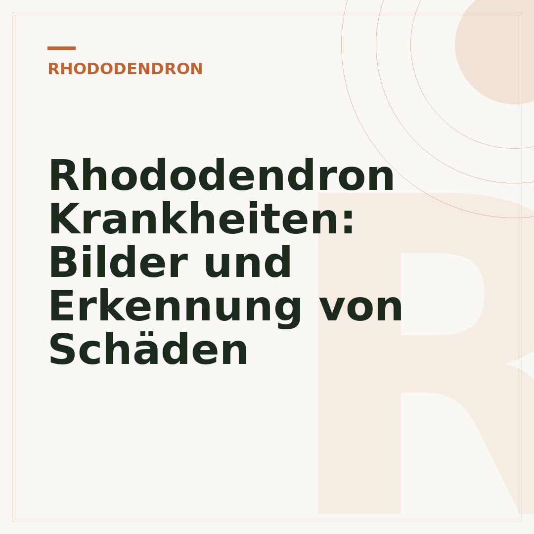 Rhododendron Krankheiten: Bilder und Erkennung von Schäden