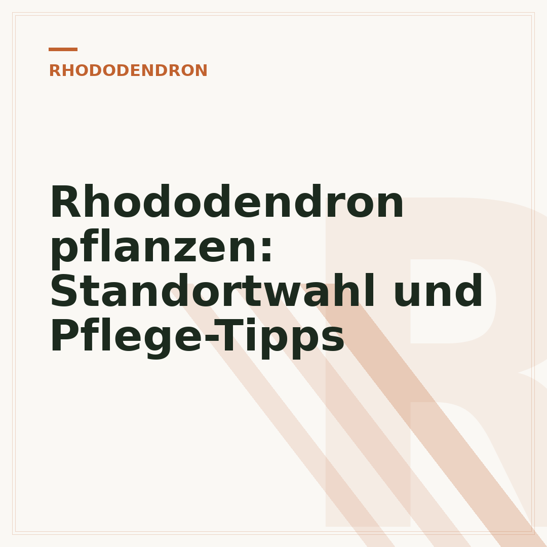 Rhododendron pflanzen: Standortwahl und Pflege-Tipps