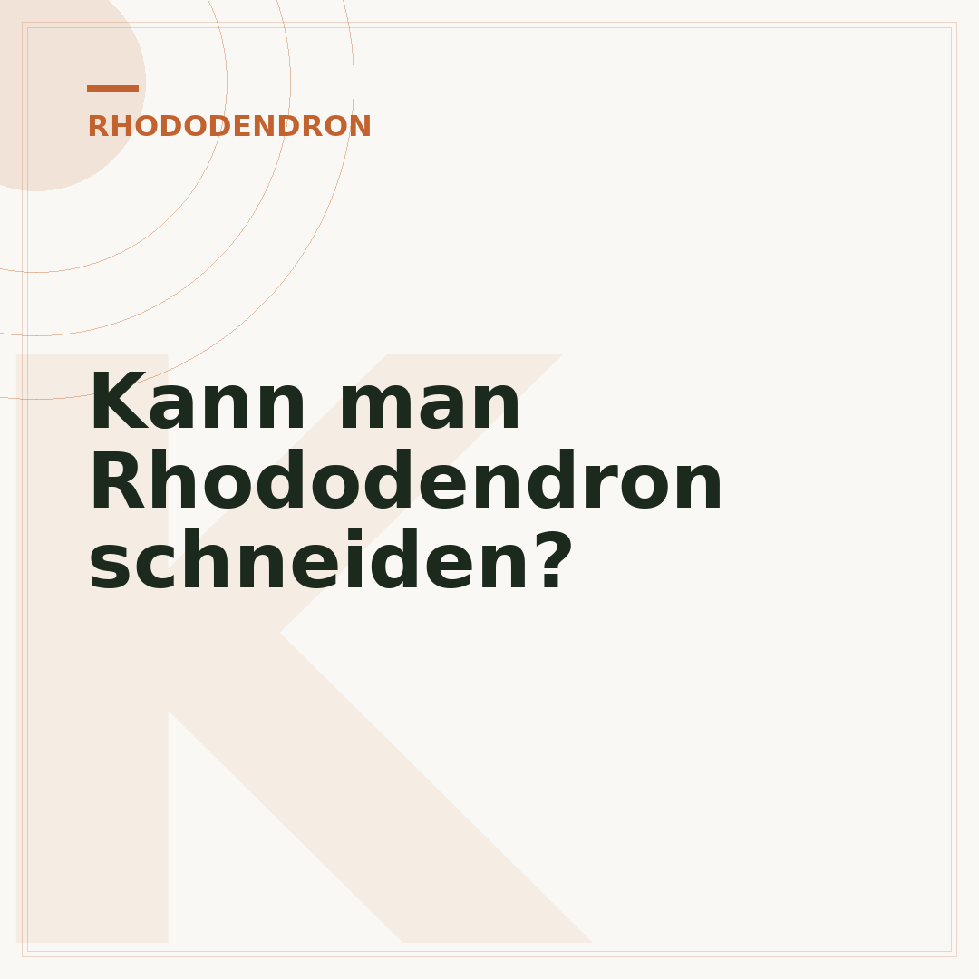 Kann man Rhododendron schneiden?
