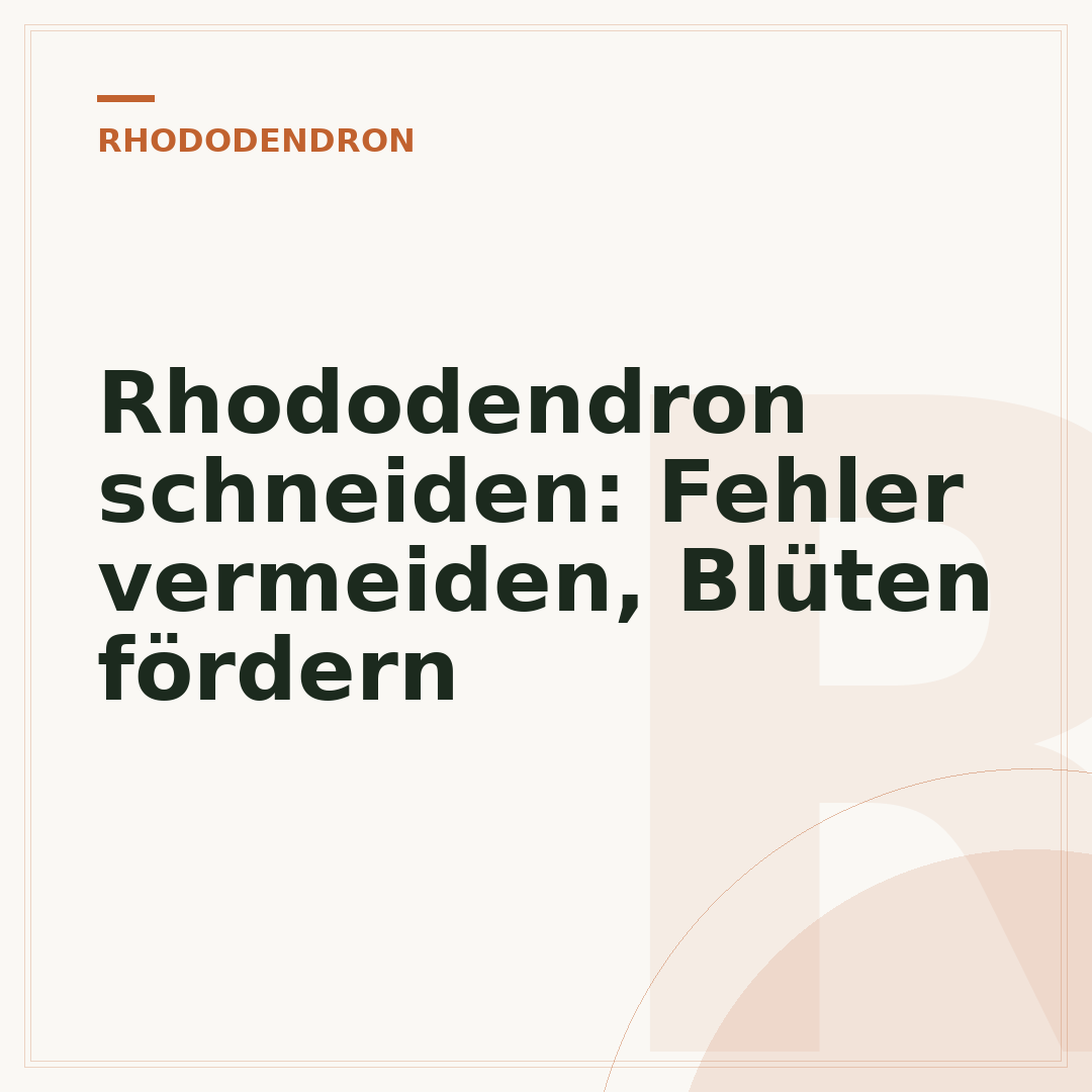 Rhododendron schneiden: Fehler vermeiden, Blüten fördern