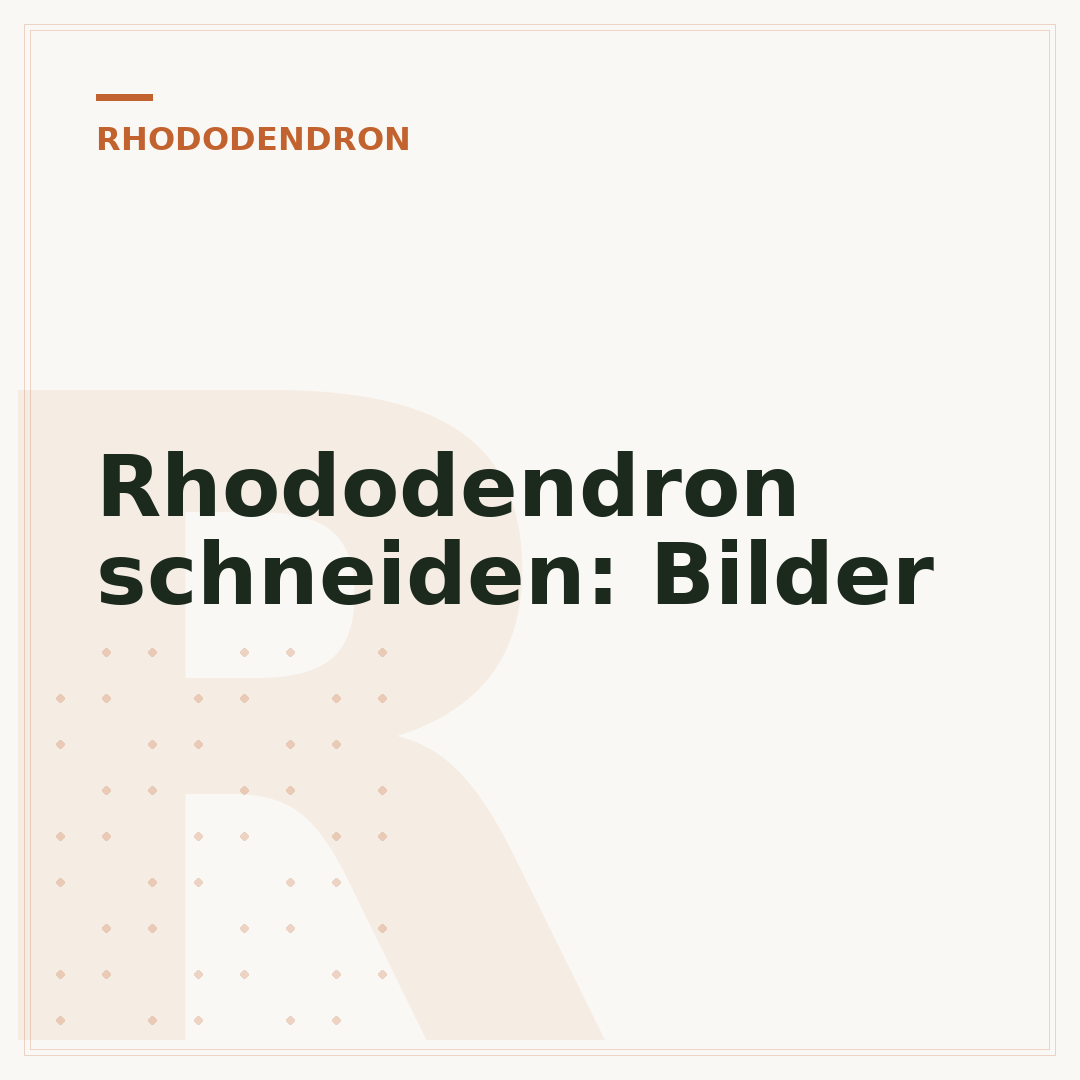 Rhododendron schneiden: Bilder