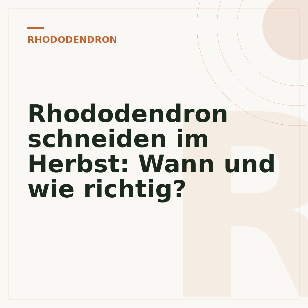 Rhododendron schneiden im Herbst: Wann und wie richtig?