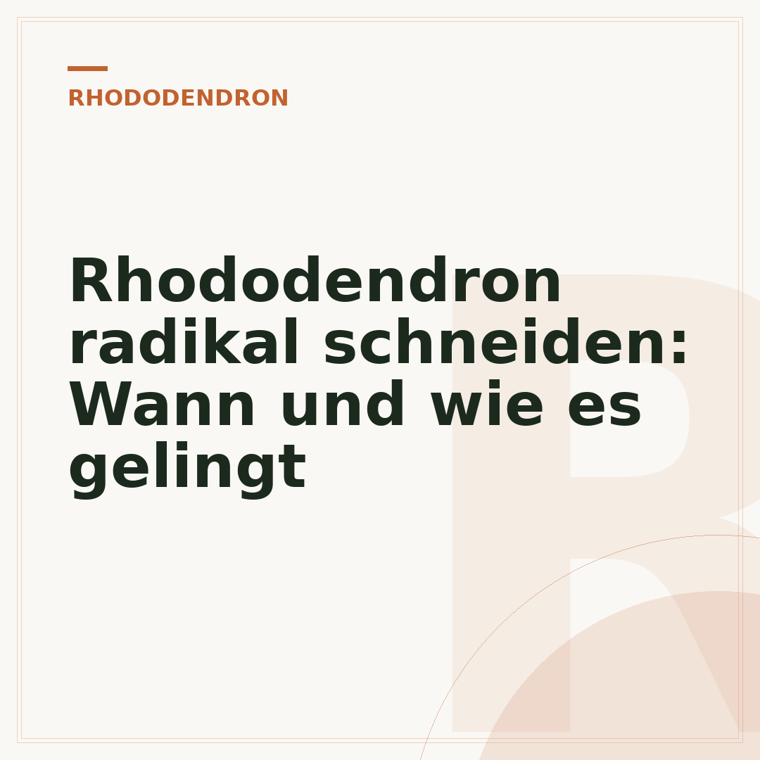 Rhododendron radikal schneiden: Wann und wie es gelingt