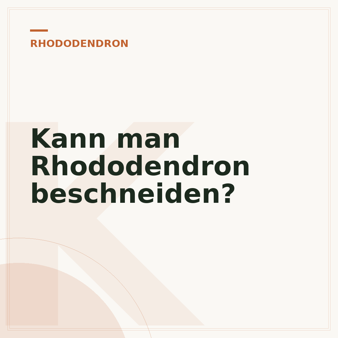 Kann man Rhododendron beschneiden?