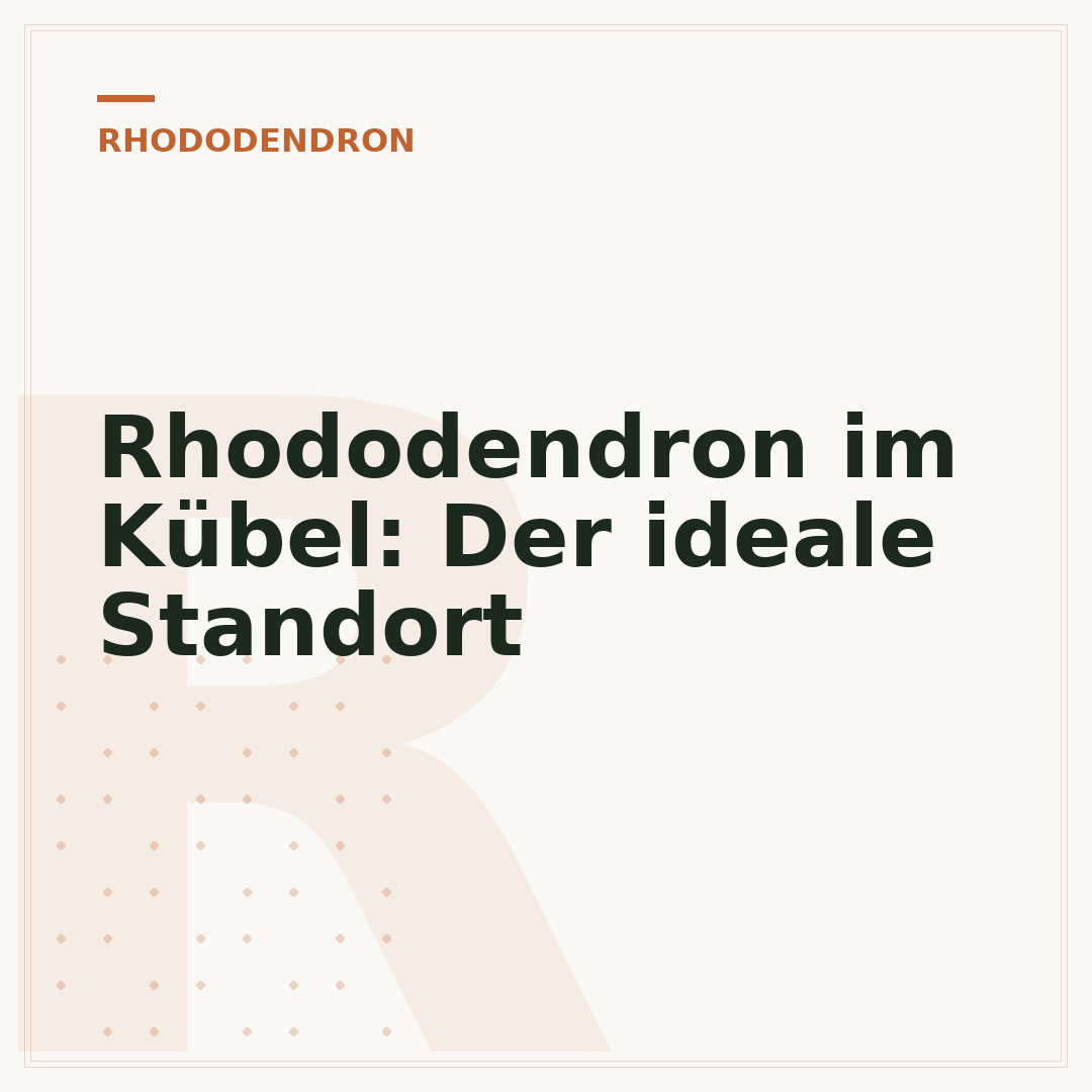 Rhododendron im Kübel: Der ideale Standort