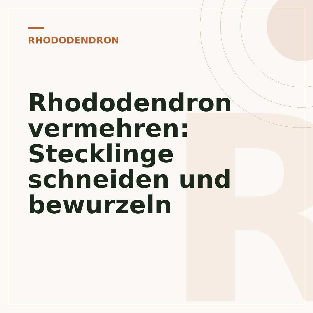 Rhododendron vermehren: Stecklinge schneiden und bewurzeln
