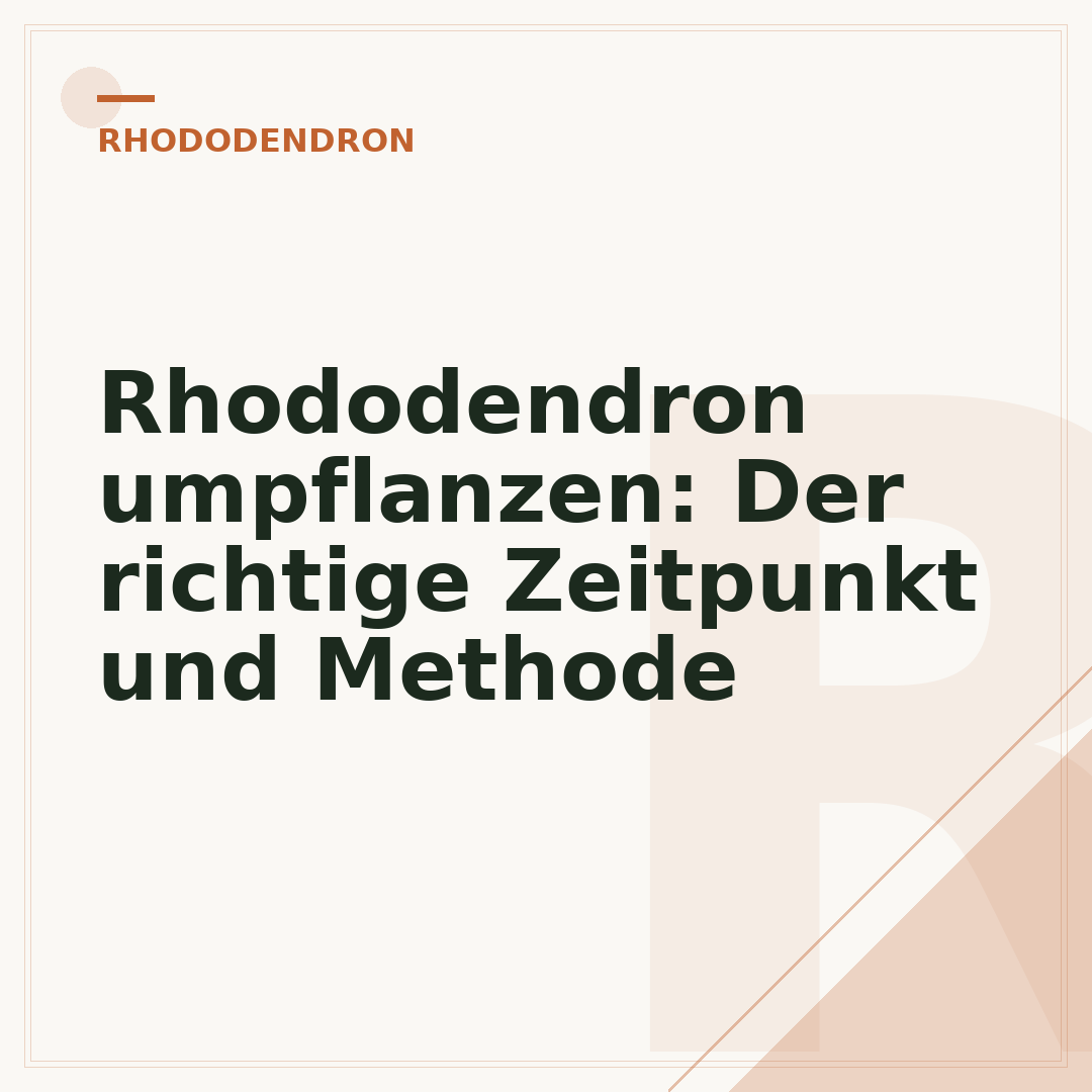 Rhododendron umpflanzen: Der richtige Zeitpunkt und Methode