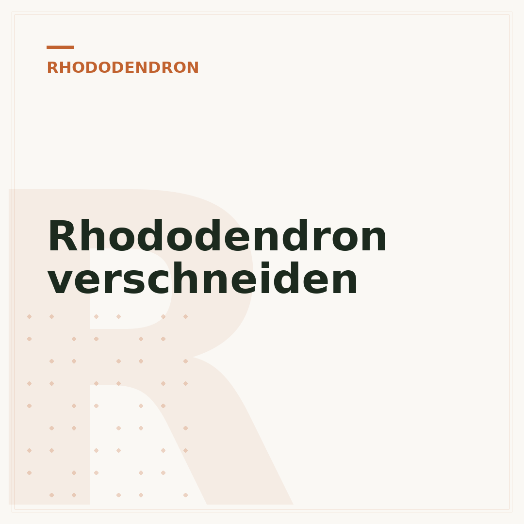 Rhododendron verschneiden