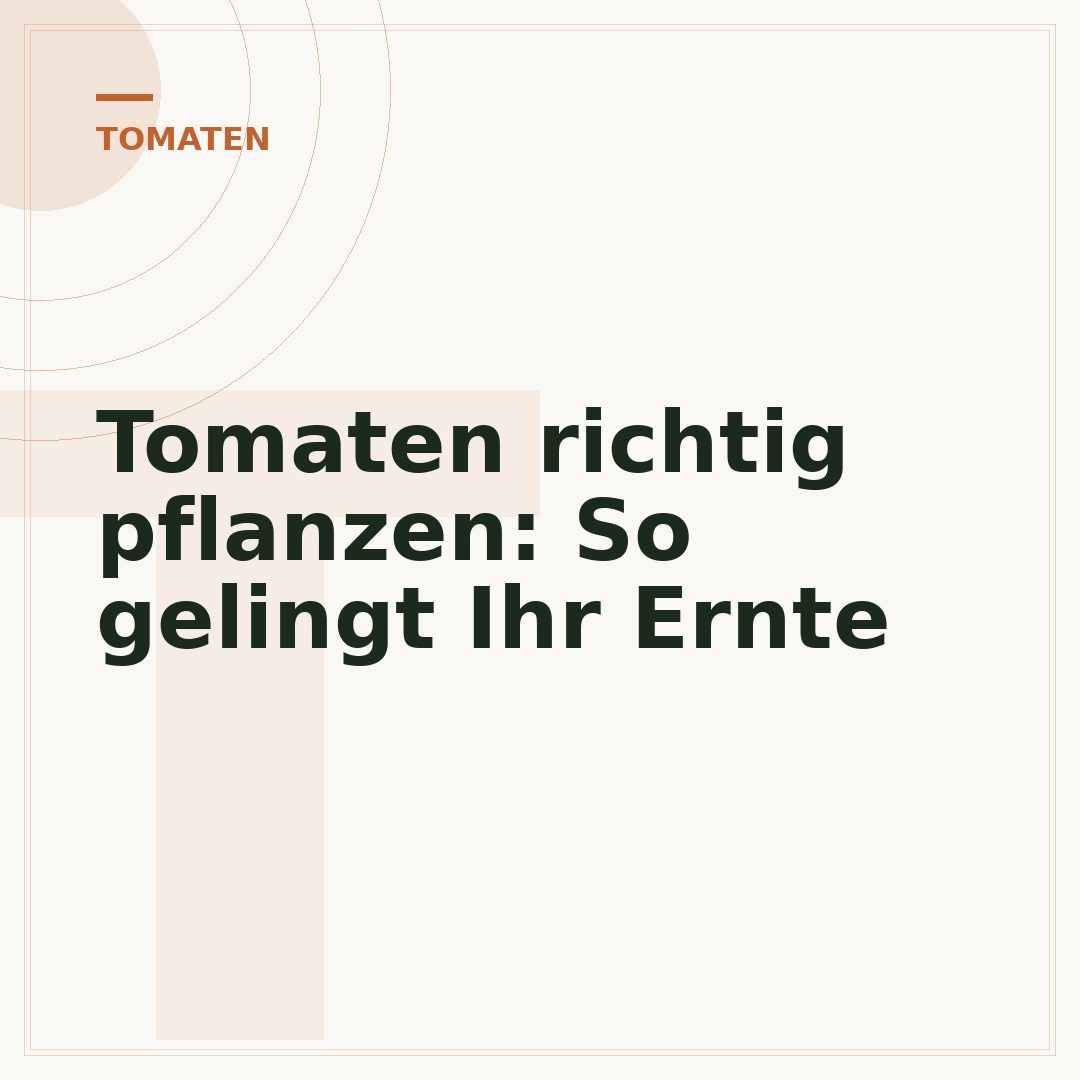 Tomaten richtig pflanzen: So gelingt Ihr Ernte