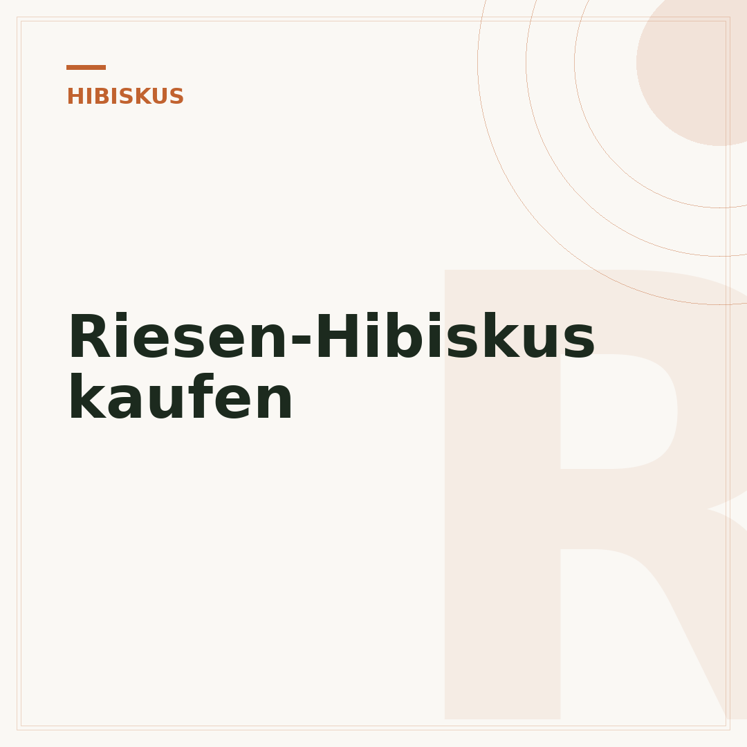 Riesen-Hibiskus kaufen