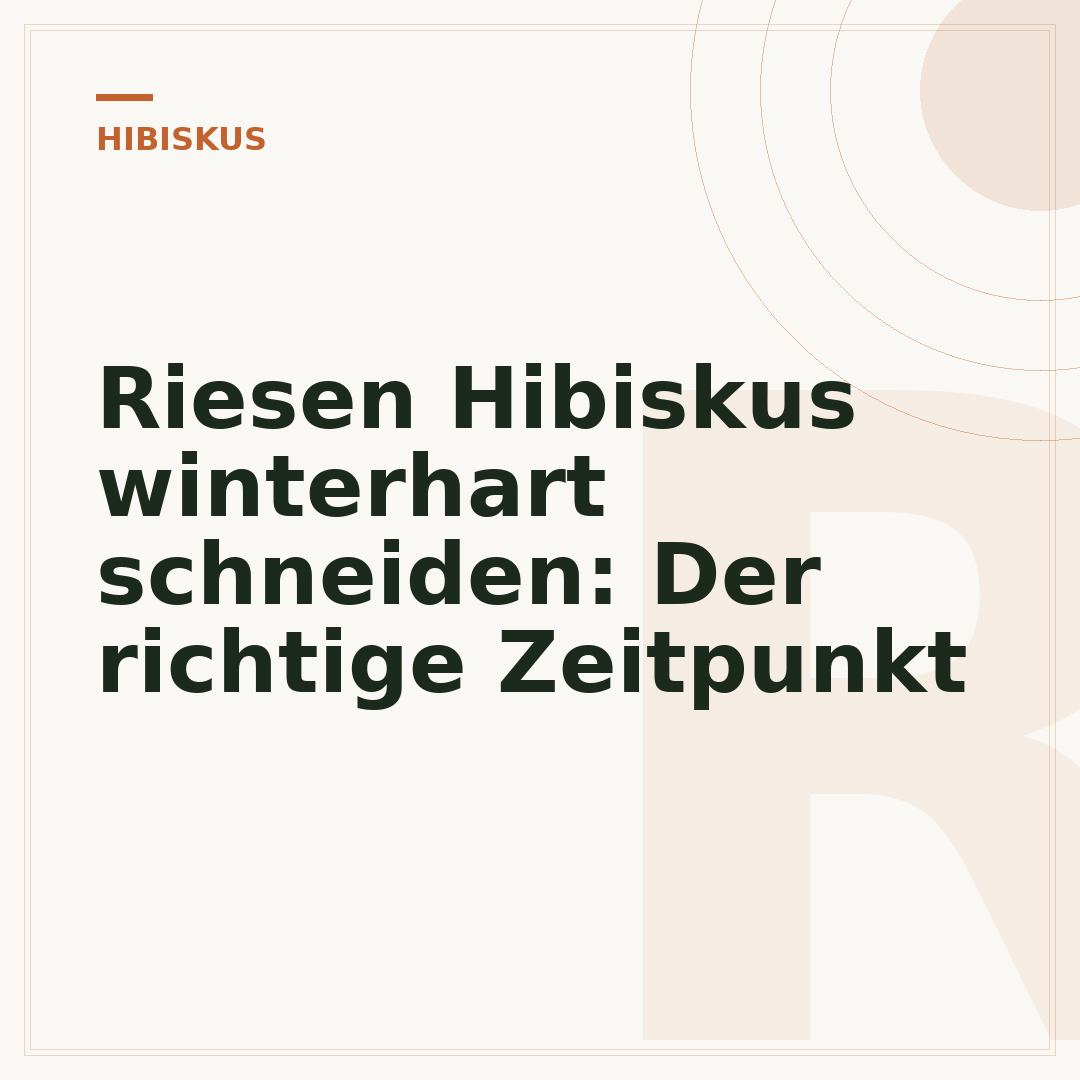 Riesen Hibiskus winterhart schneiden: Der richtige Zeitpunkt