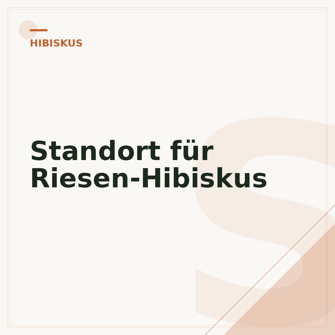 Standort für Riesen-Hibiskus