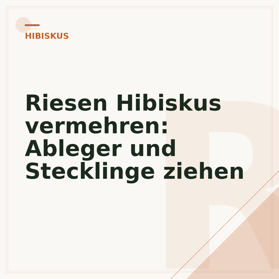 Riesen Hibiskus vermehren: Ableger und Stecklinge ziehen