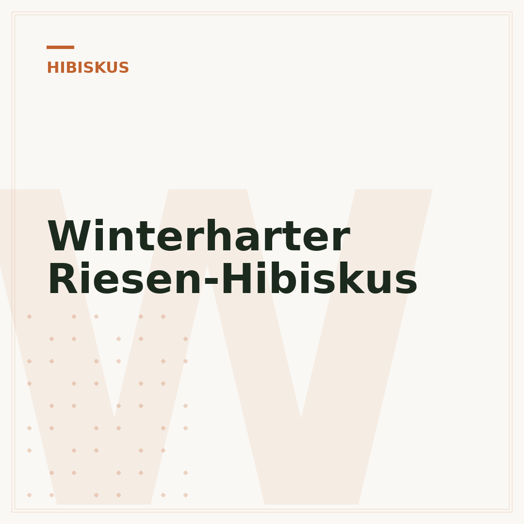 Winterharter Riesen-Hibiskus