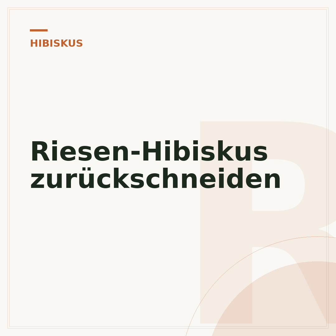 Riesen-Hibiskus zurückschneiden