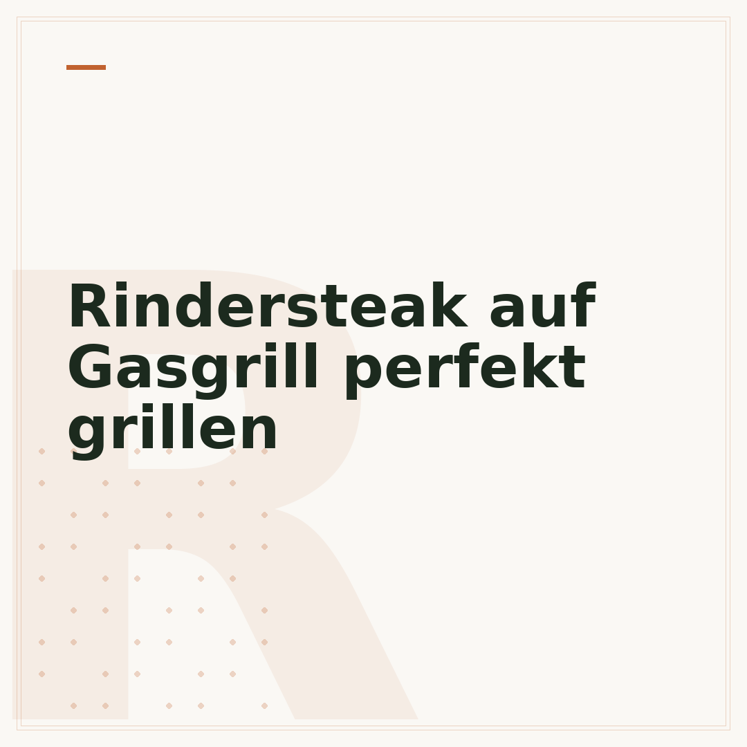 Rindersteak auf Gasgrill perfekt grillen