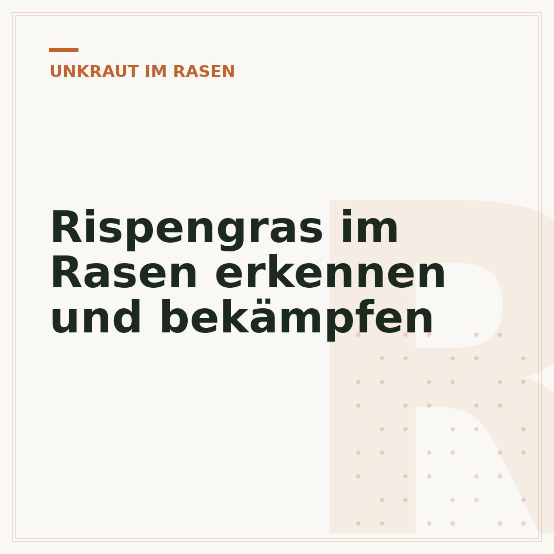 Rispengras im Rasen erkennen und bekämpfen