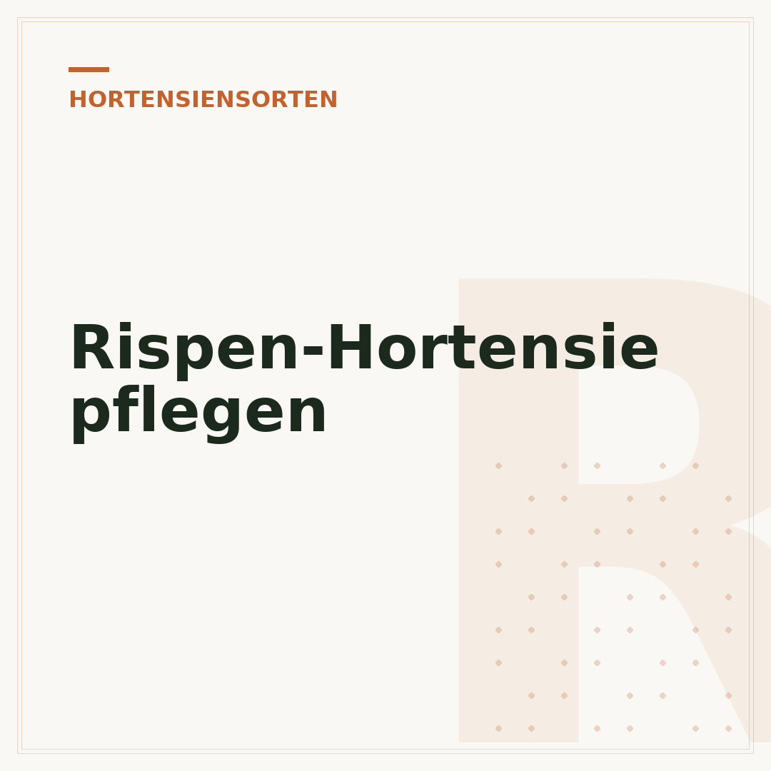 Rispen-Hortensie pflegen