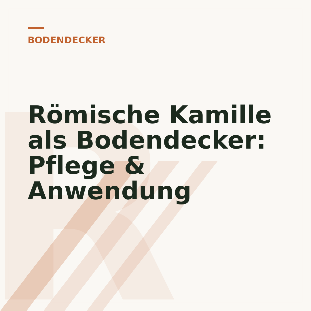 Römische Kamille als Bodendecker: Pflege & Anwendung