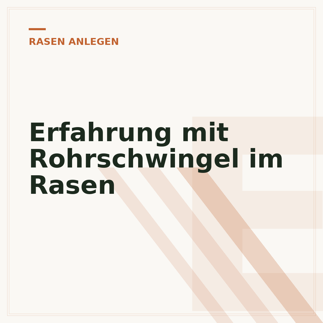 Erfahrung mit Rohrschwingel im Rasen