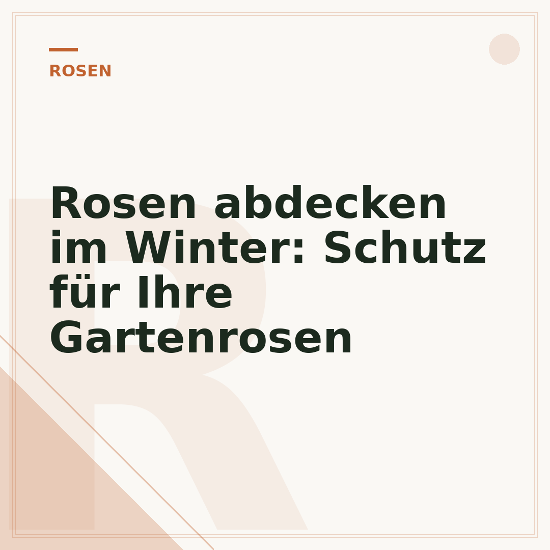 Rosen abdecken im Winter: Schutz für Ihre Gartenrosen