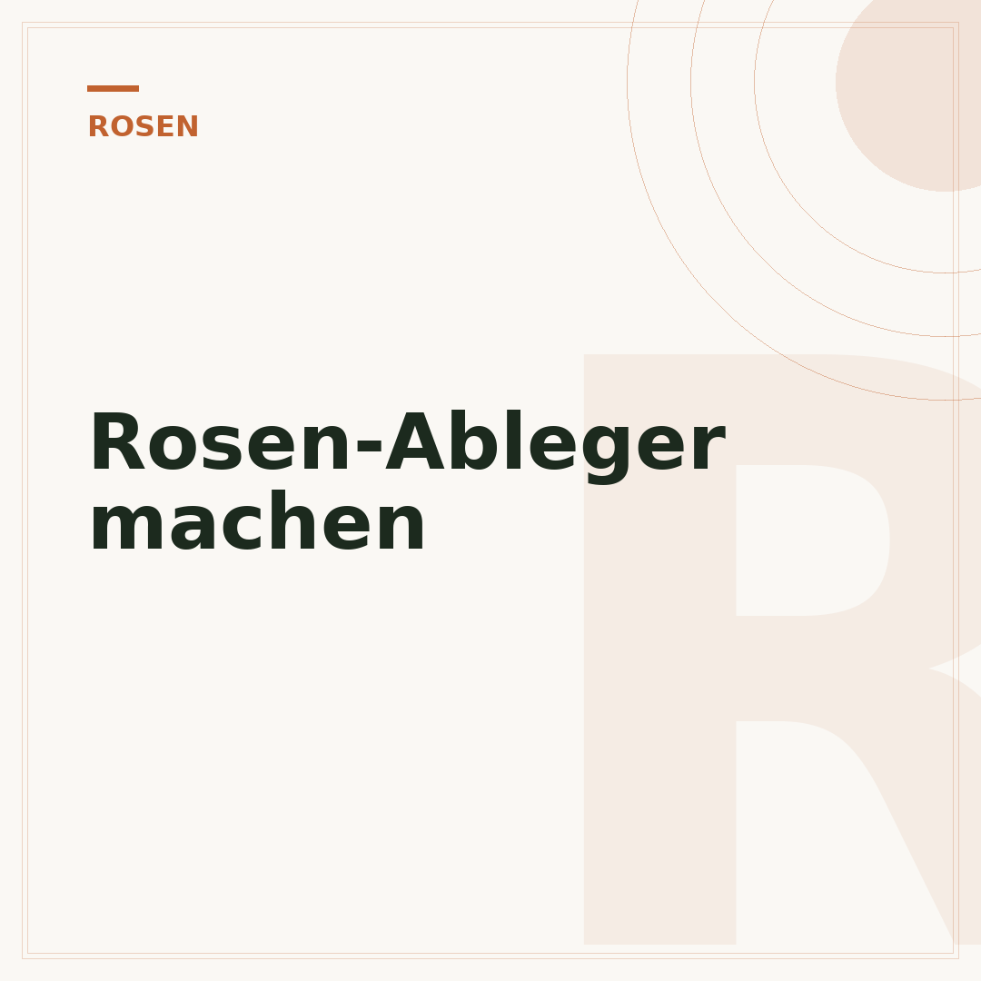 Rosen-Ableger machen