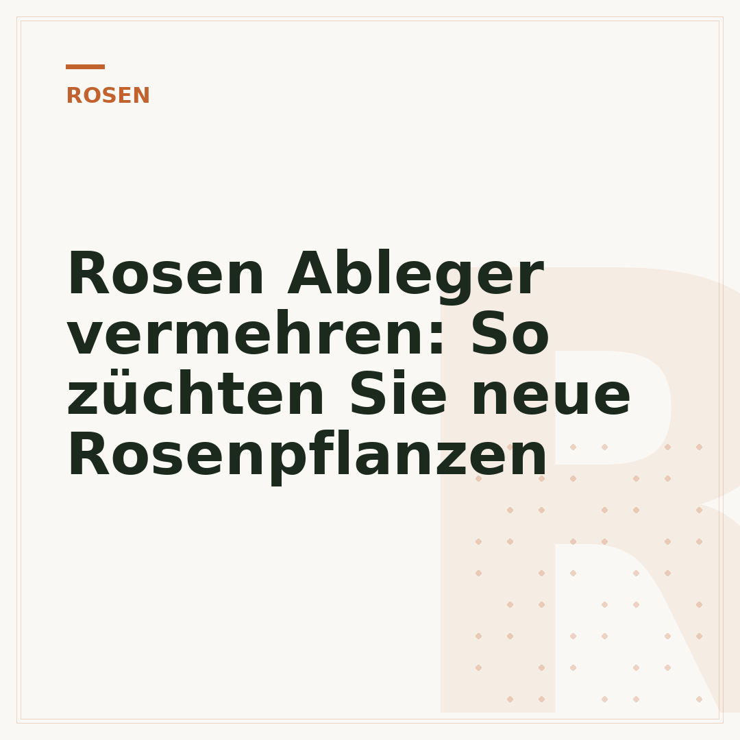 Rosen Ableger vermehren: So züchten Sie neue Rosenpflanzen