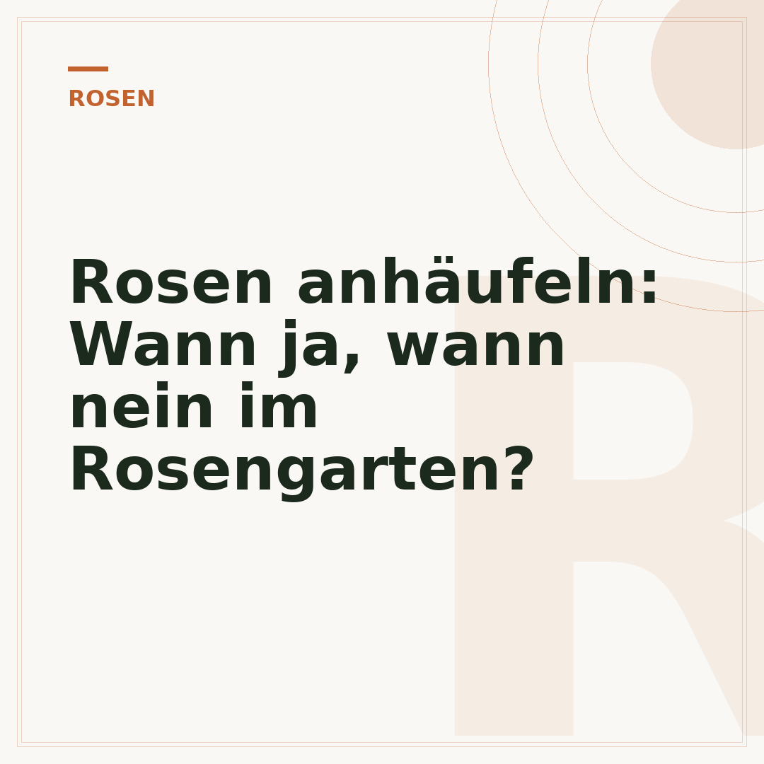 Rosen anhäufeln: Wann ja, wann nein im Rosengarten?