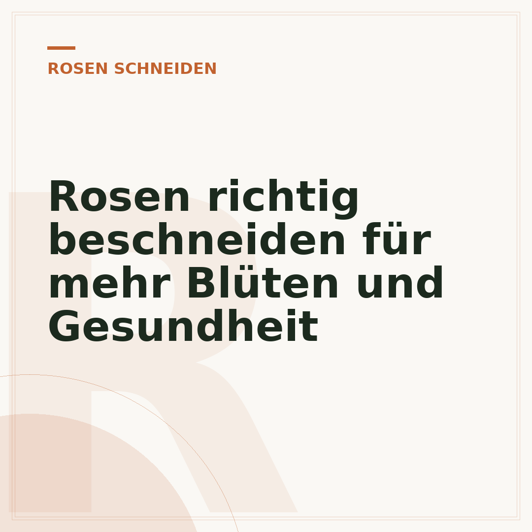Rosen richtig beschneiden für mehr Blüten und Gesundheit