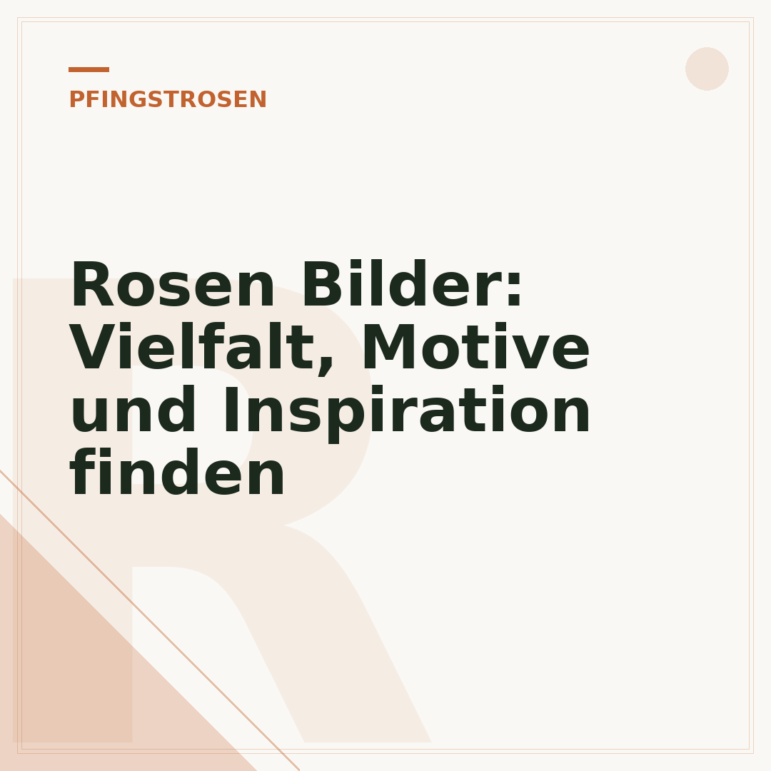 Rosen Bilder: Vielfalt, Motive und Inspiration finden