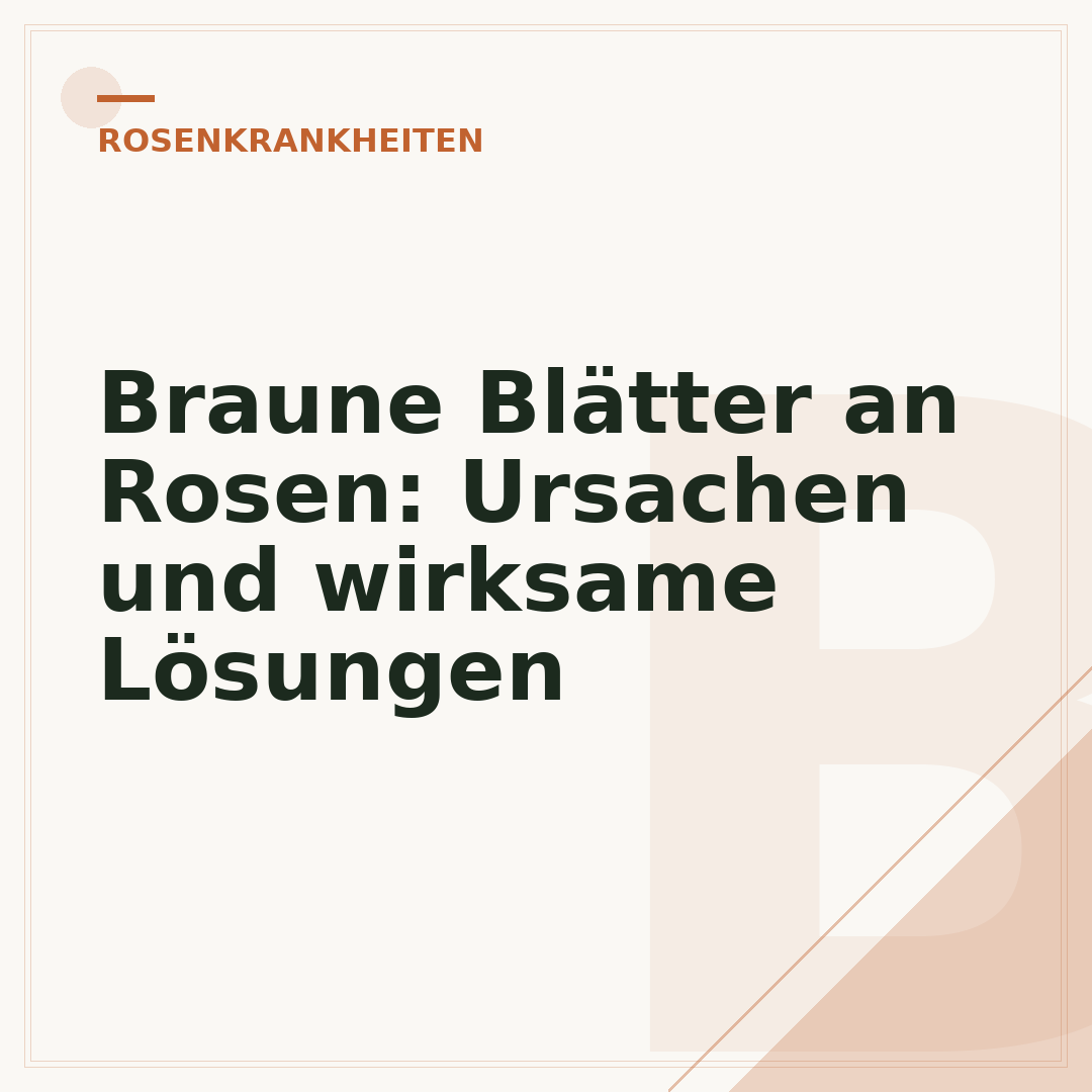 Braune Blätter an Rosen: Ursachen und wirksame Lösungen