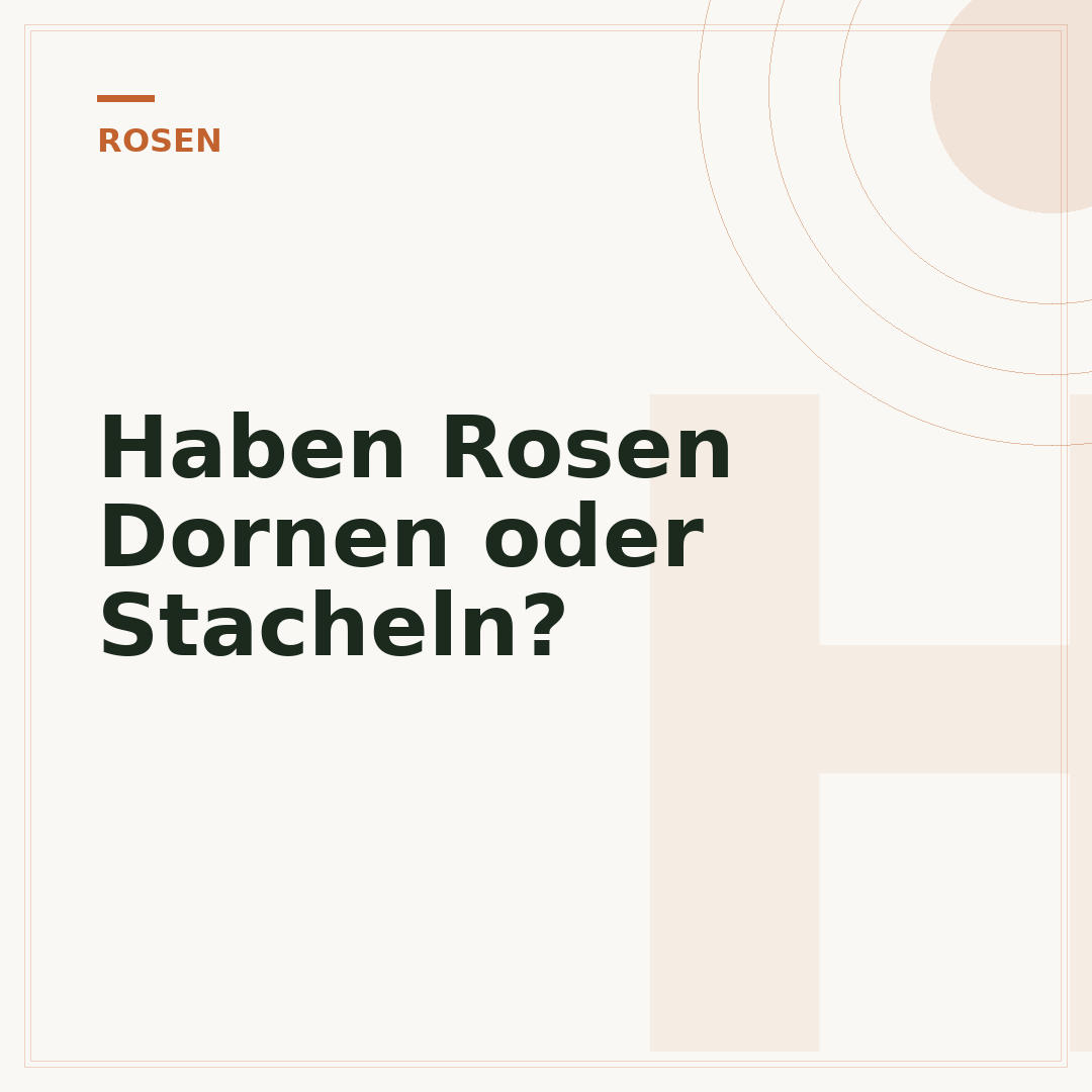 Haben Rosen Dornen oder Stacheln?