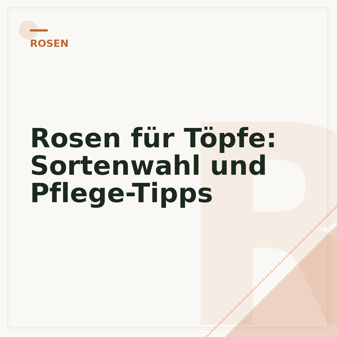 Rosen für Töpfe: Sortenwahl und Pflege-Tipps