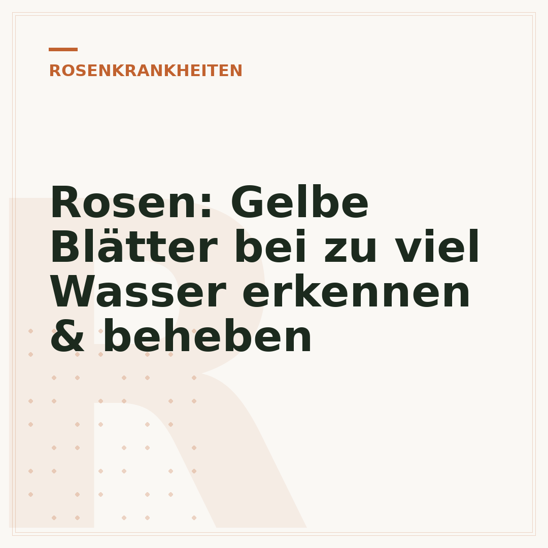 Rosen: Gelbe Blätter bei zu viel Wasser erkennen & beheben