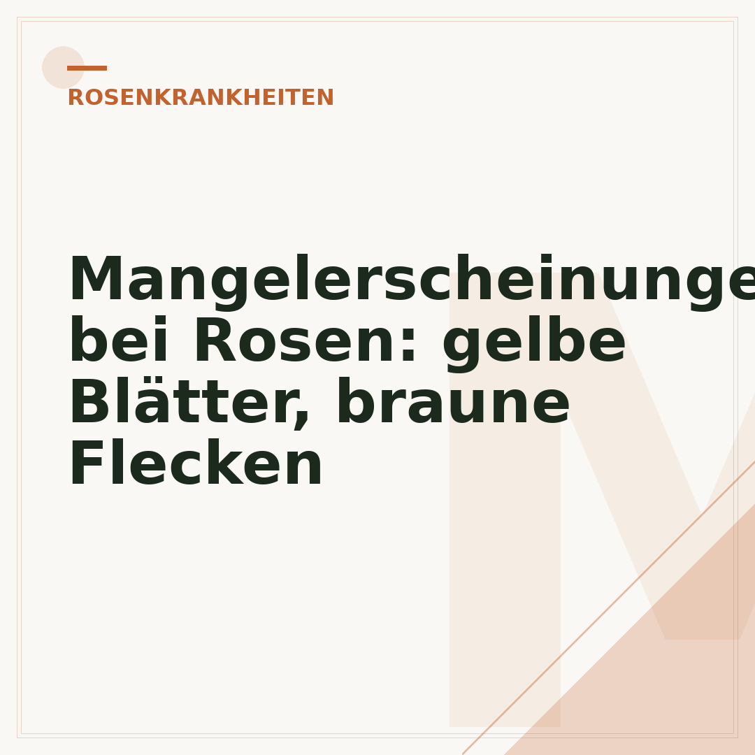 Mangelerscheinungen bei Rosen: gelbe Blätter, braune Flecken