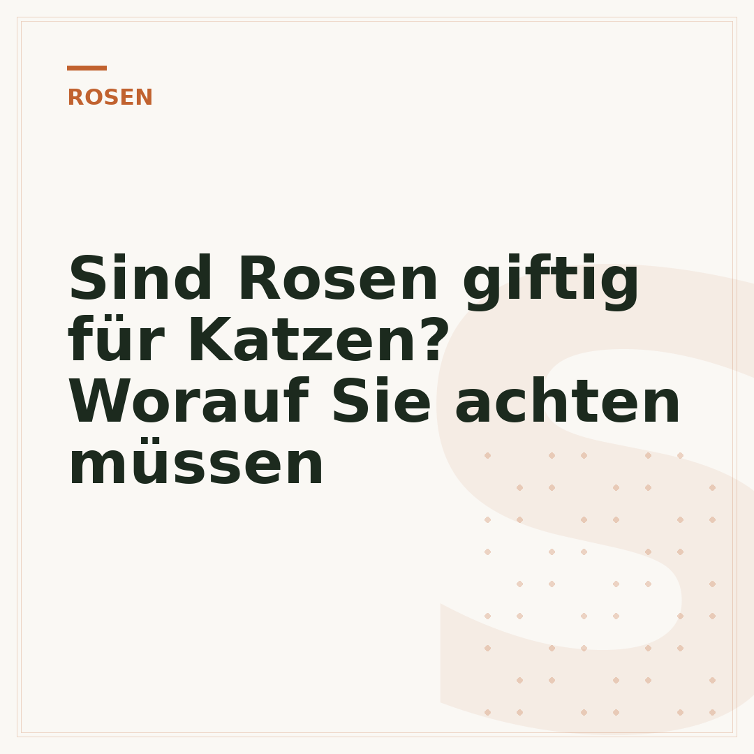 Sind Rosen giftig für Katzen? Worauf Sie achten müssen