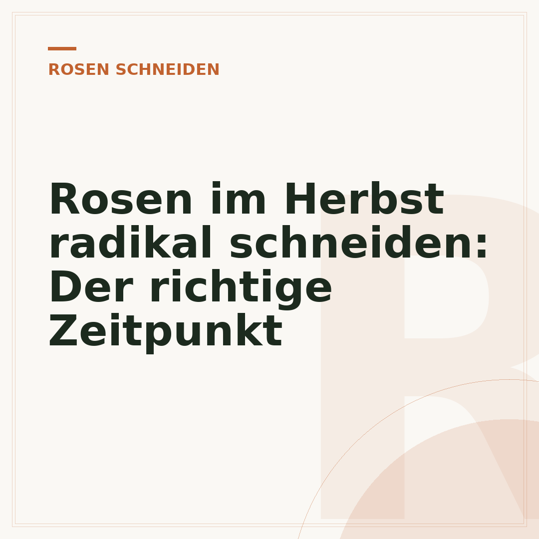 Rosen im Herbst radikal schneiden: Der richtige Zeitpunkt