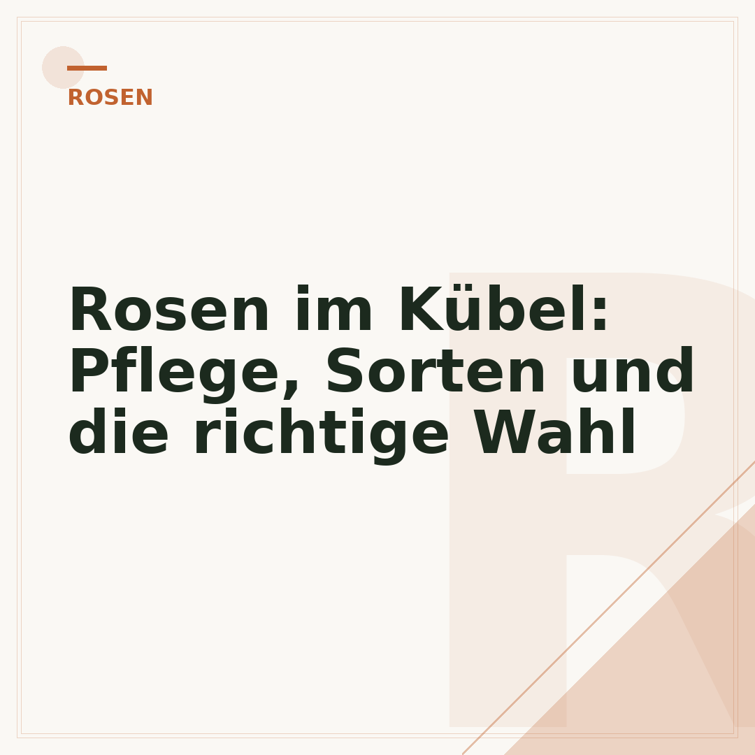 Rosen im Kübel: Pflege, Sorten und die richtige Wahl