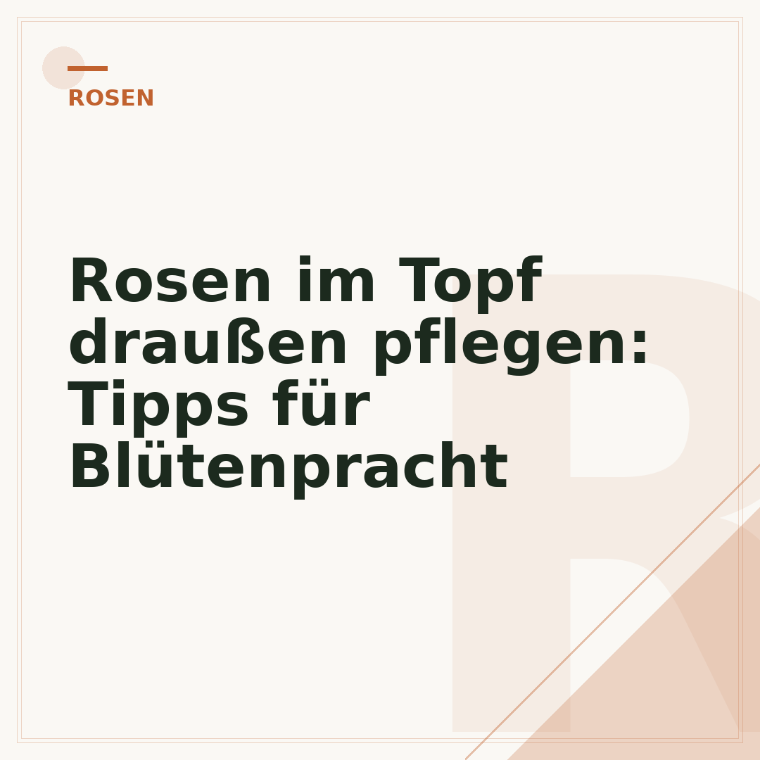 Rosen im Topf draußen pflegen: Tipps für Blütenpracht