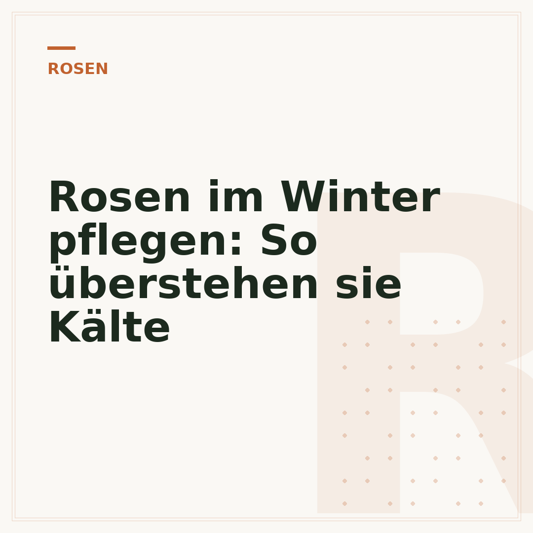Rosen im Winter pflegen: So überstehen sie Kälte