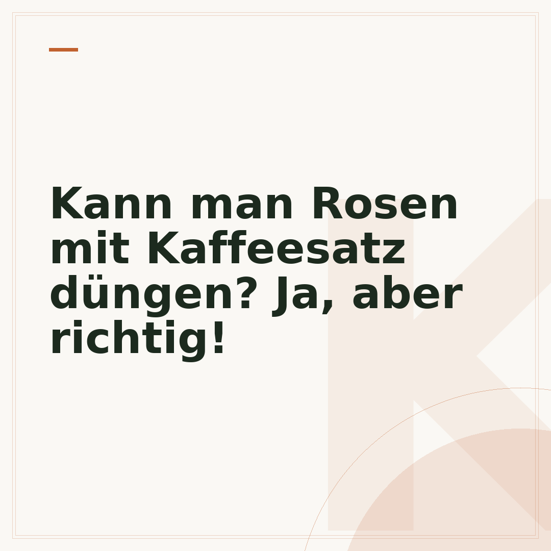 Kann man Rosen mit Kaffeesatz düngen? Ja, aber richtig!