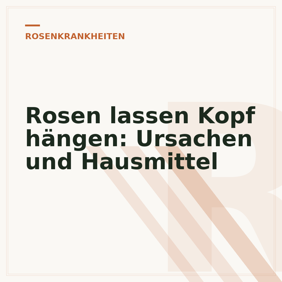 Rosen lassen Kopf hängen: Ursachen und Hausmittel