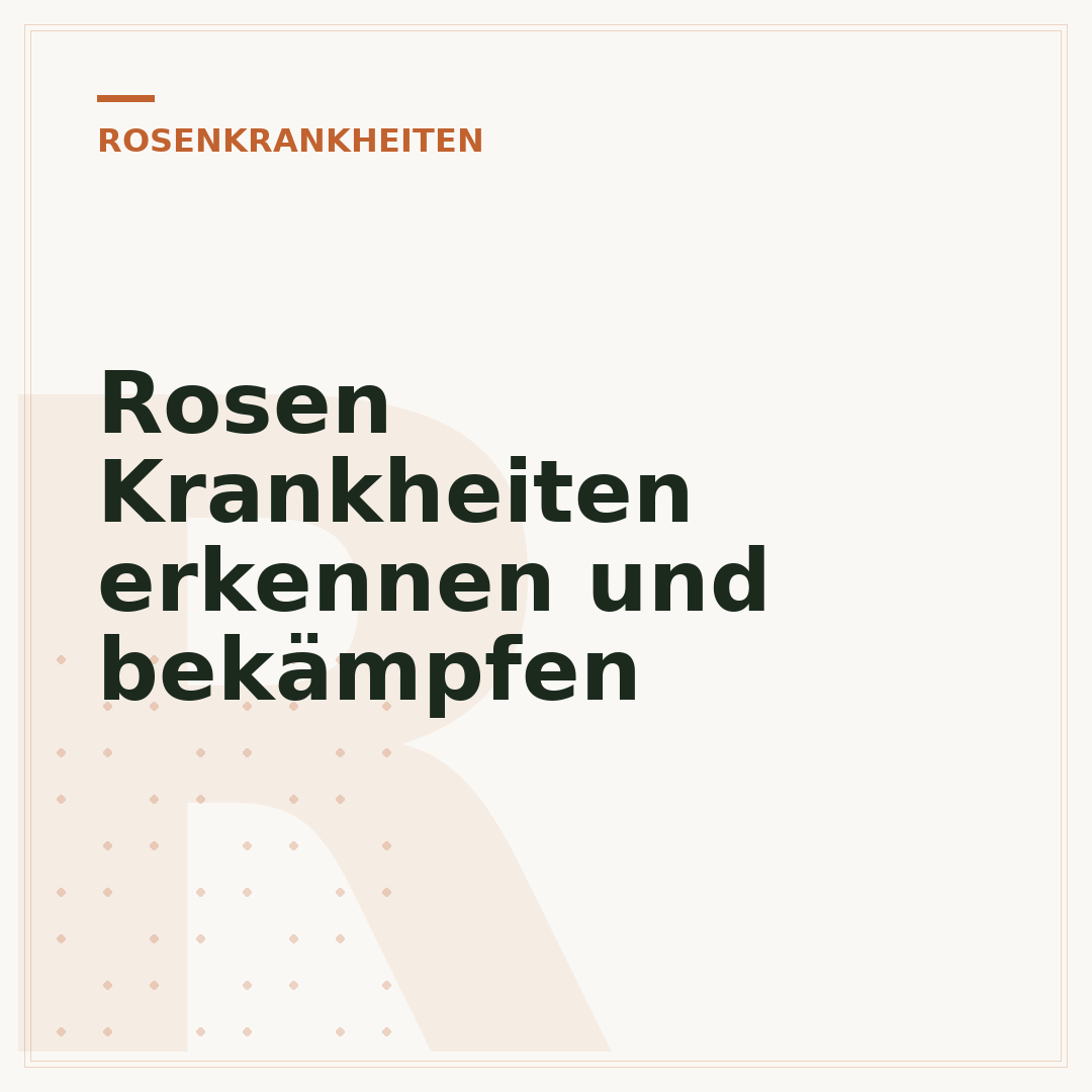 Rosen Krankheiten erkennen und bekämpfen