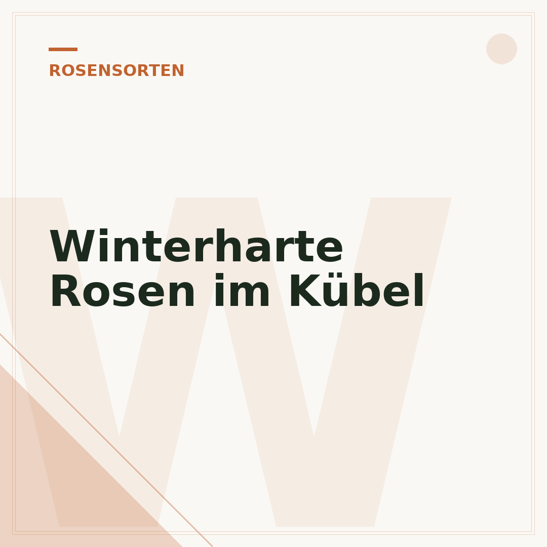 Winterharte Rosen im Kübel