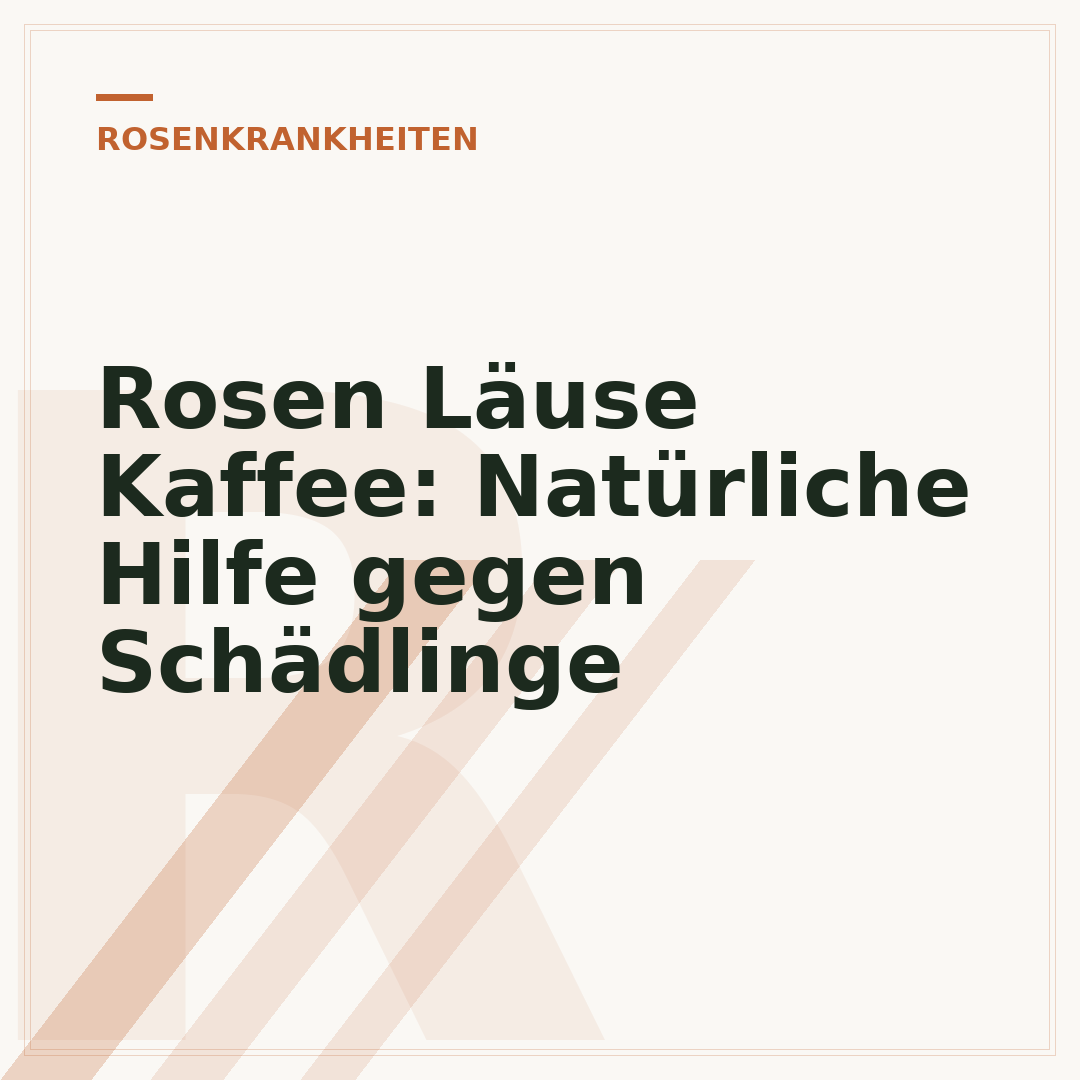 Rosen Läuse Kaffee: Natürliche Hilfe gegen Schädlinge