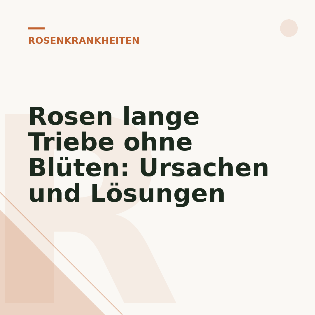 Rosen lange Triebe ohne Blüten: Ursachen und Lösungen